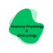 آناتومی، جنین و فیزیولوژی - Anatomy, Physiology & Embryology